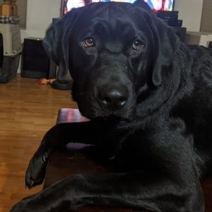 Meet your Posher, Cathy